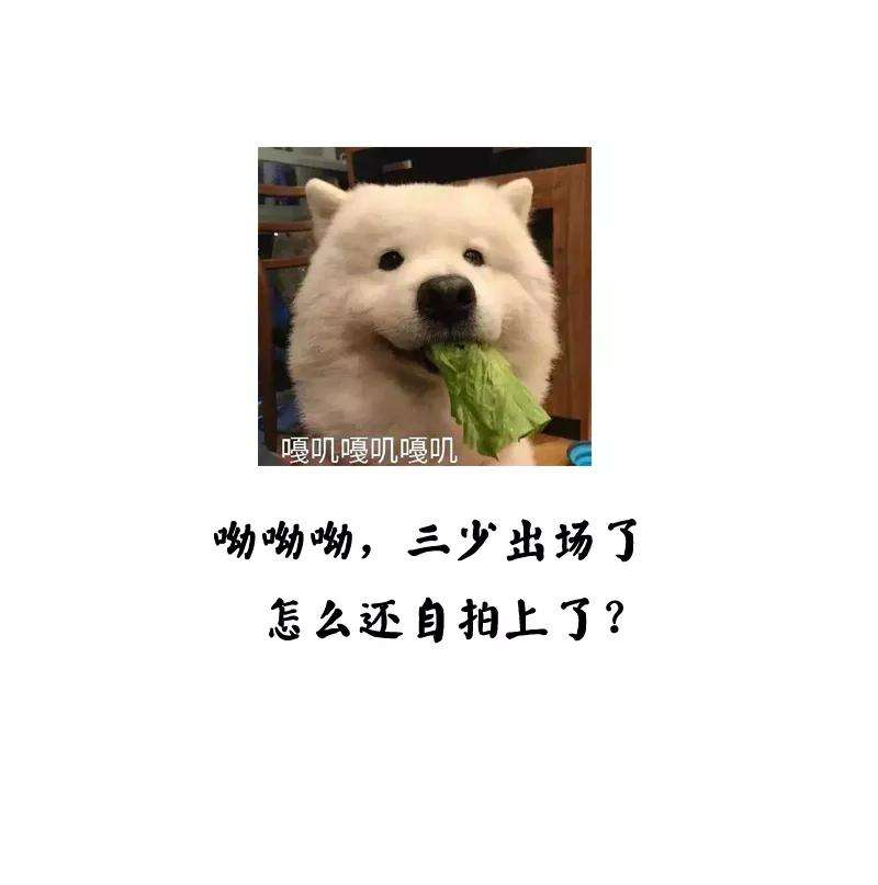 恶魔总统请放手44话 好久不见啊
