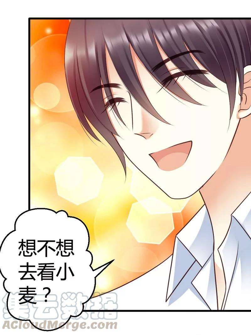 恶魔总统请放手47话 走 去看小麦