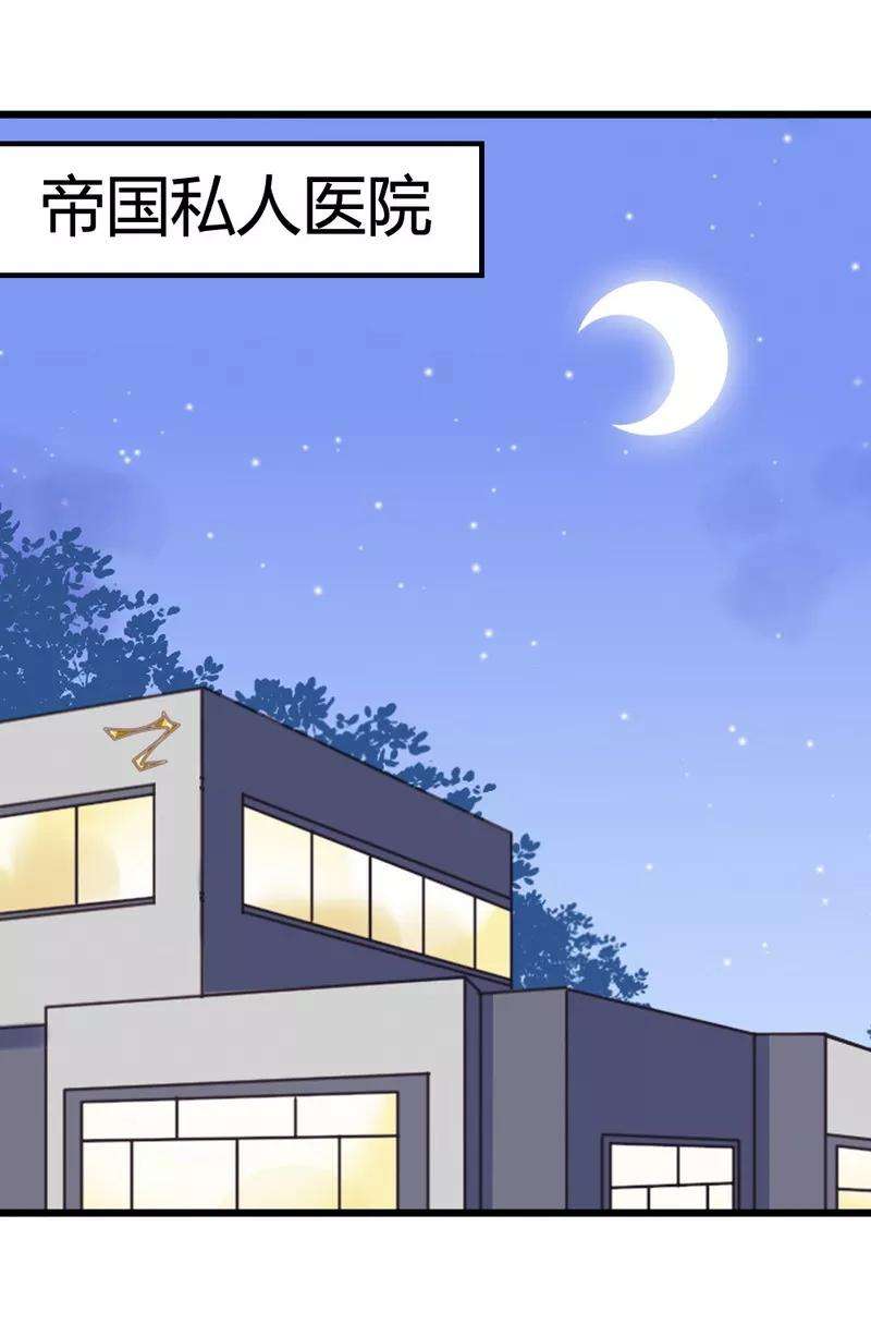 恶魔总统请放手48话 快接电话
