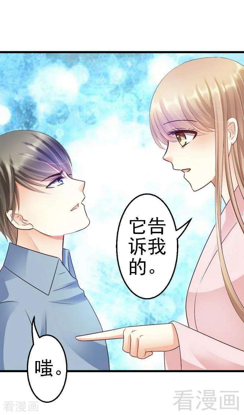恶魔总统请放手57话 是因为这个项链吗？