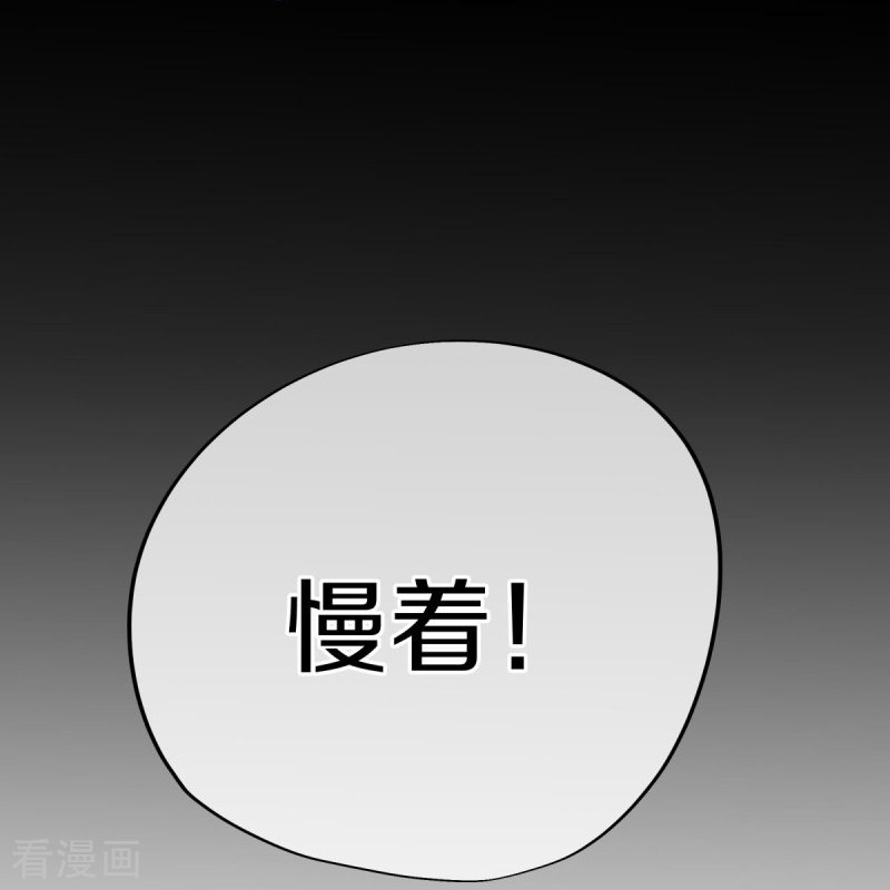 绝世战魂429话