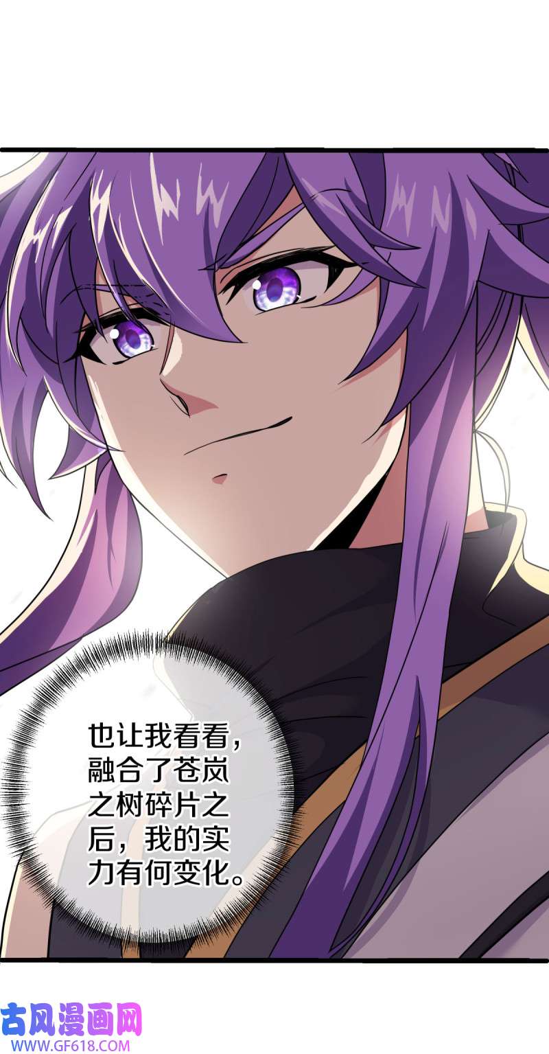 绝世战魂第475话 玄风雷鹏