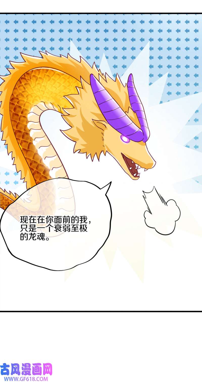 绝世战魂第505话 紫金战龙