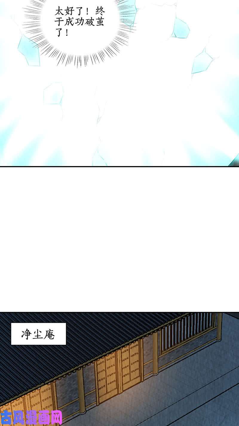 我本废柴化茧成蝶