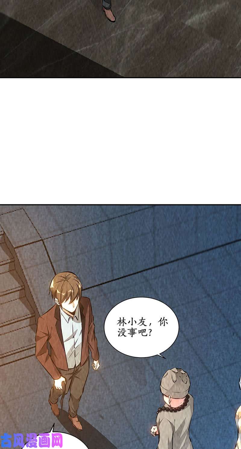 我本废柴化茧成蝶