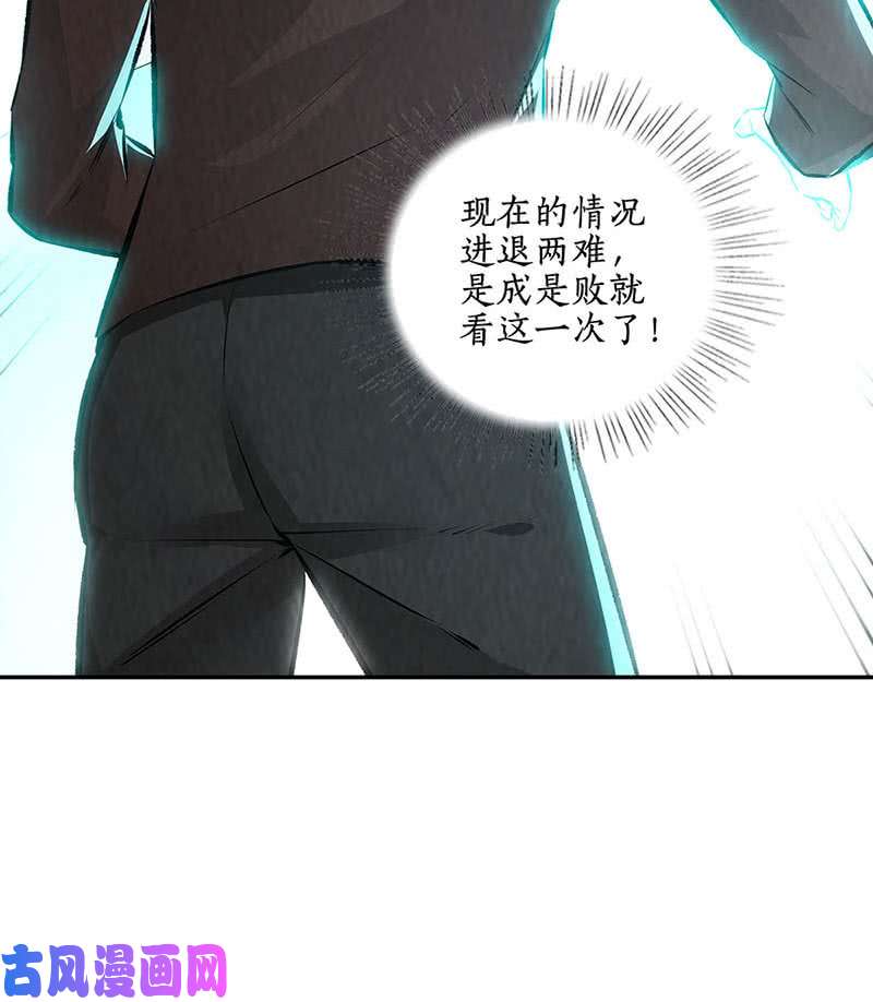 我本废柴化茧成蝶