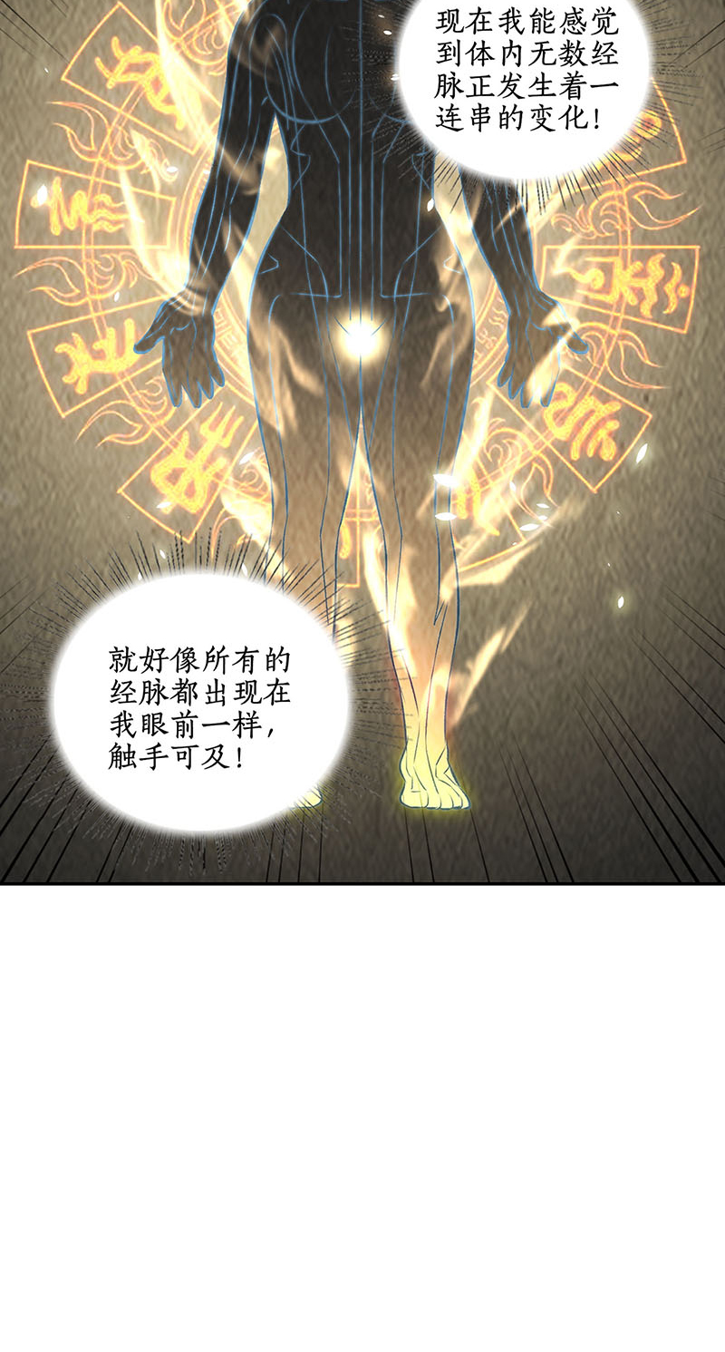 我本废柴第190话 化茧成蝶