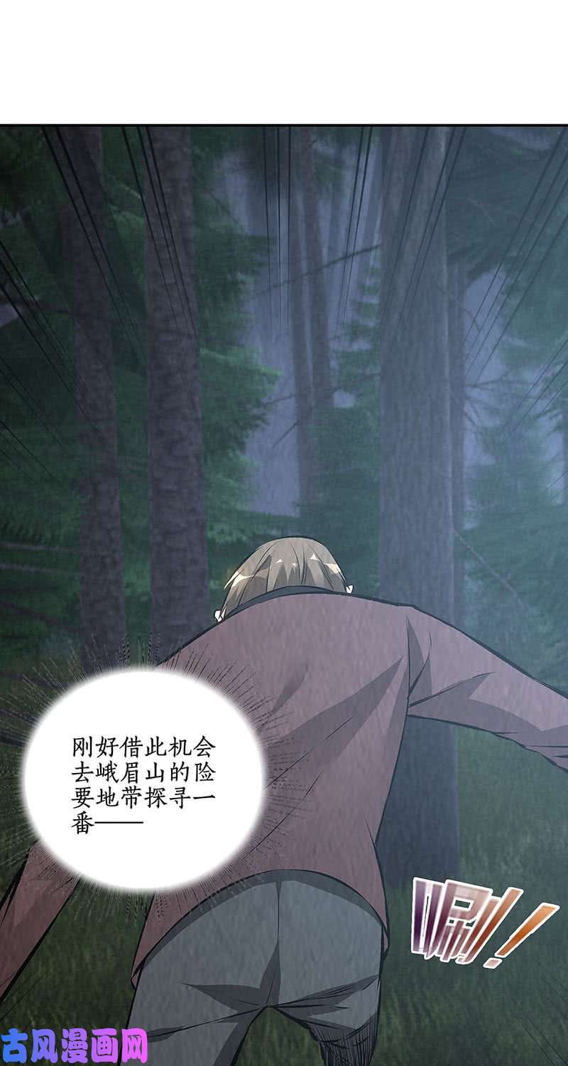 我本废柴御气飞行