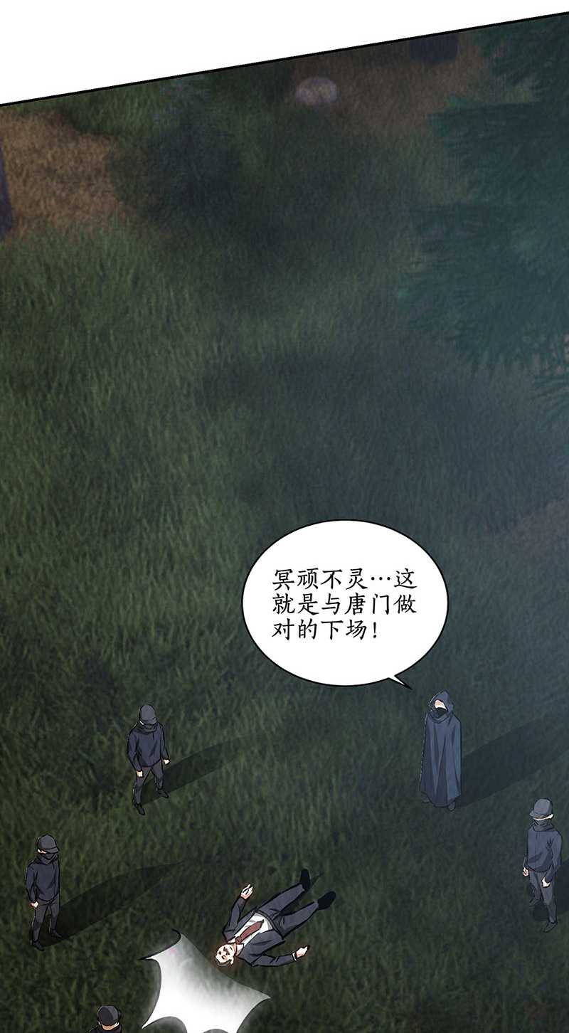 我本废柴第197话 唐门踪迹