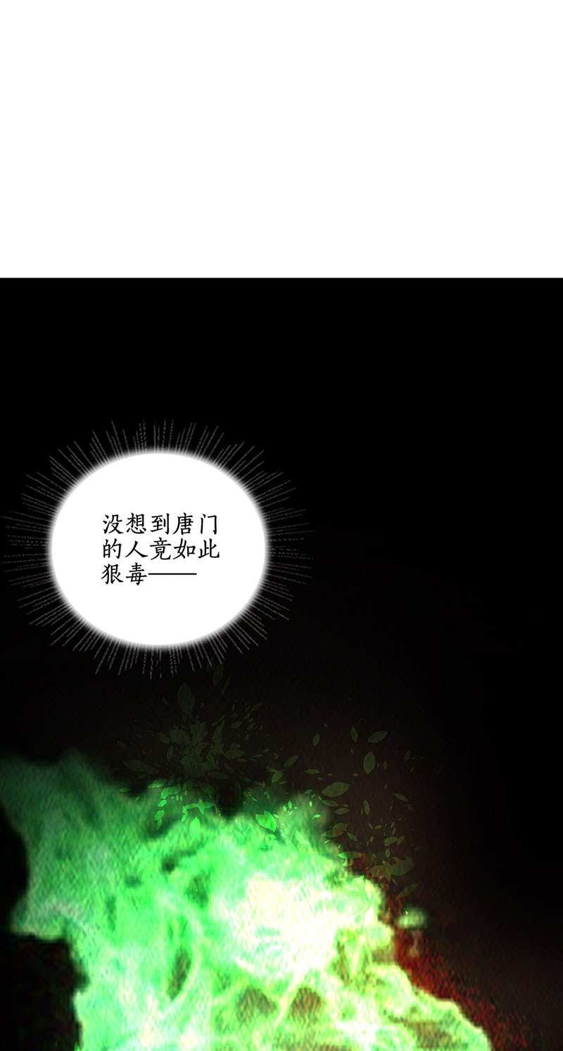 我本废柴第197话 唐门踪迹