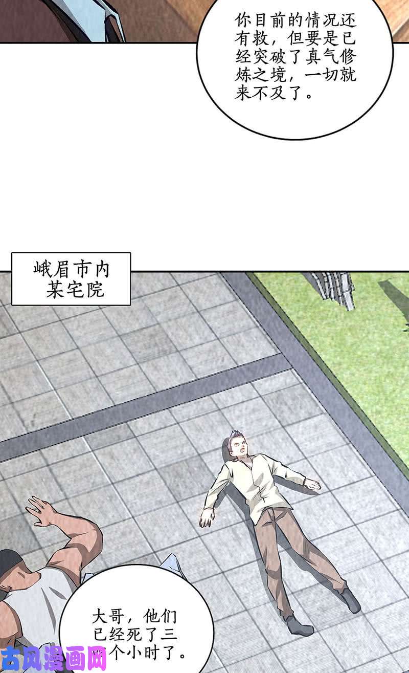 我本废柴贝贝家事