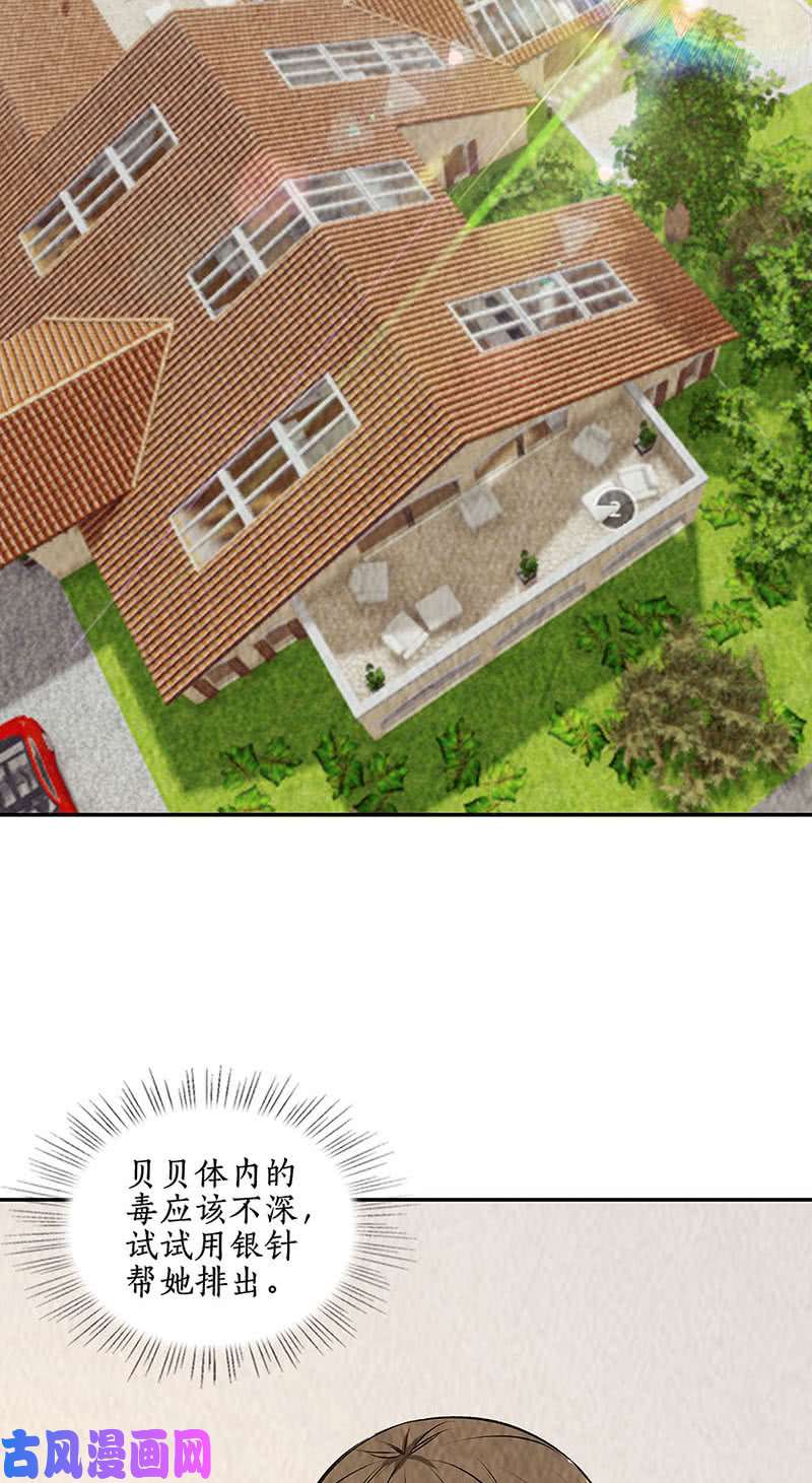 我本废柴寒梅飞雪