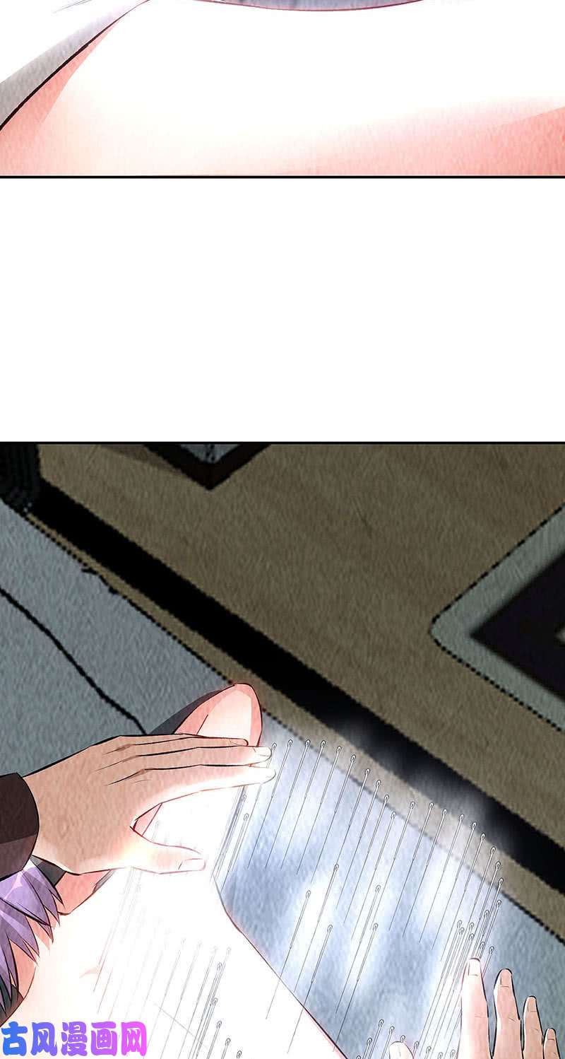 我本废柴寒梅飞雪