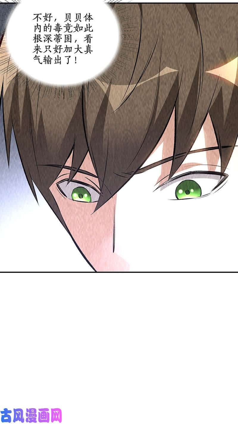 我本废柴寒梅飞雪