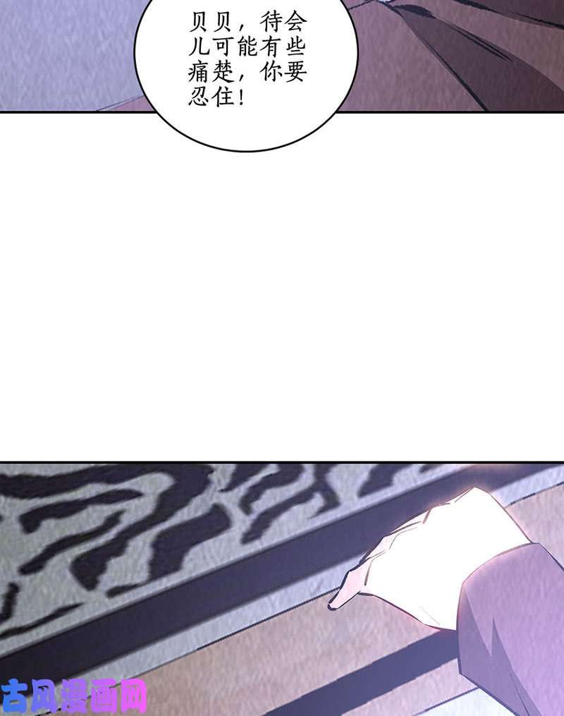 我本废柴寒梅飞雪