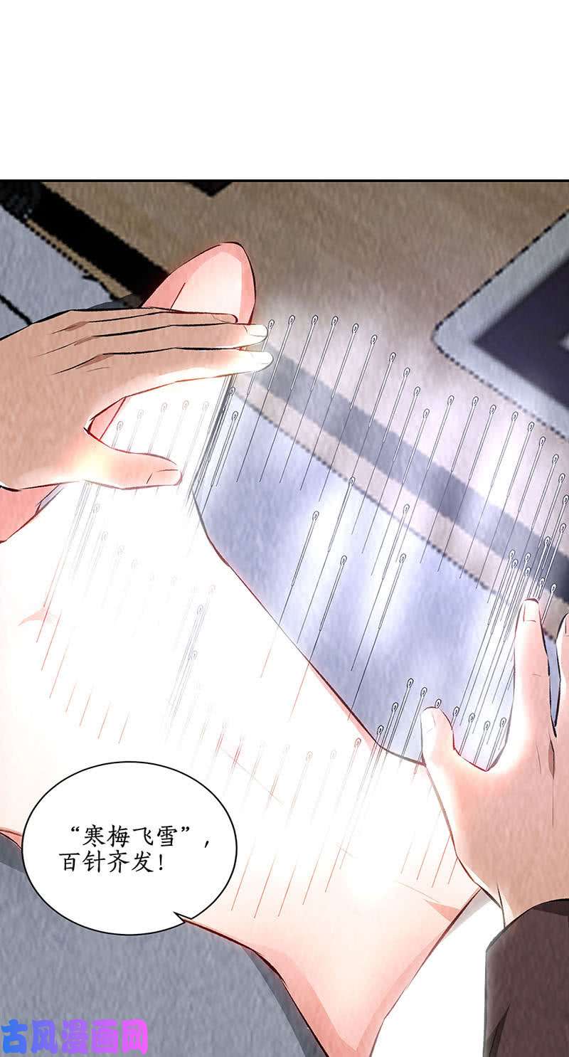 我本废柴寒梅飞雪