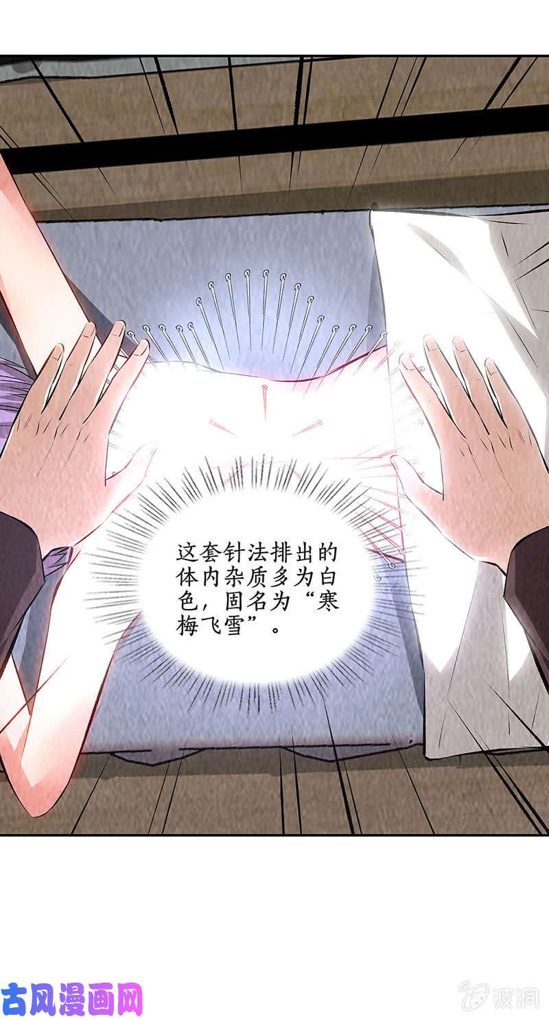 我本废柴寒梅飞雪