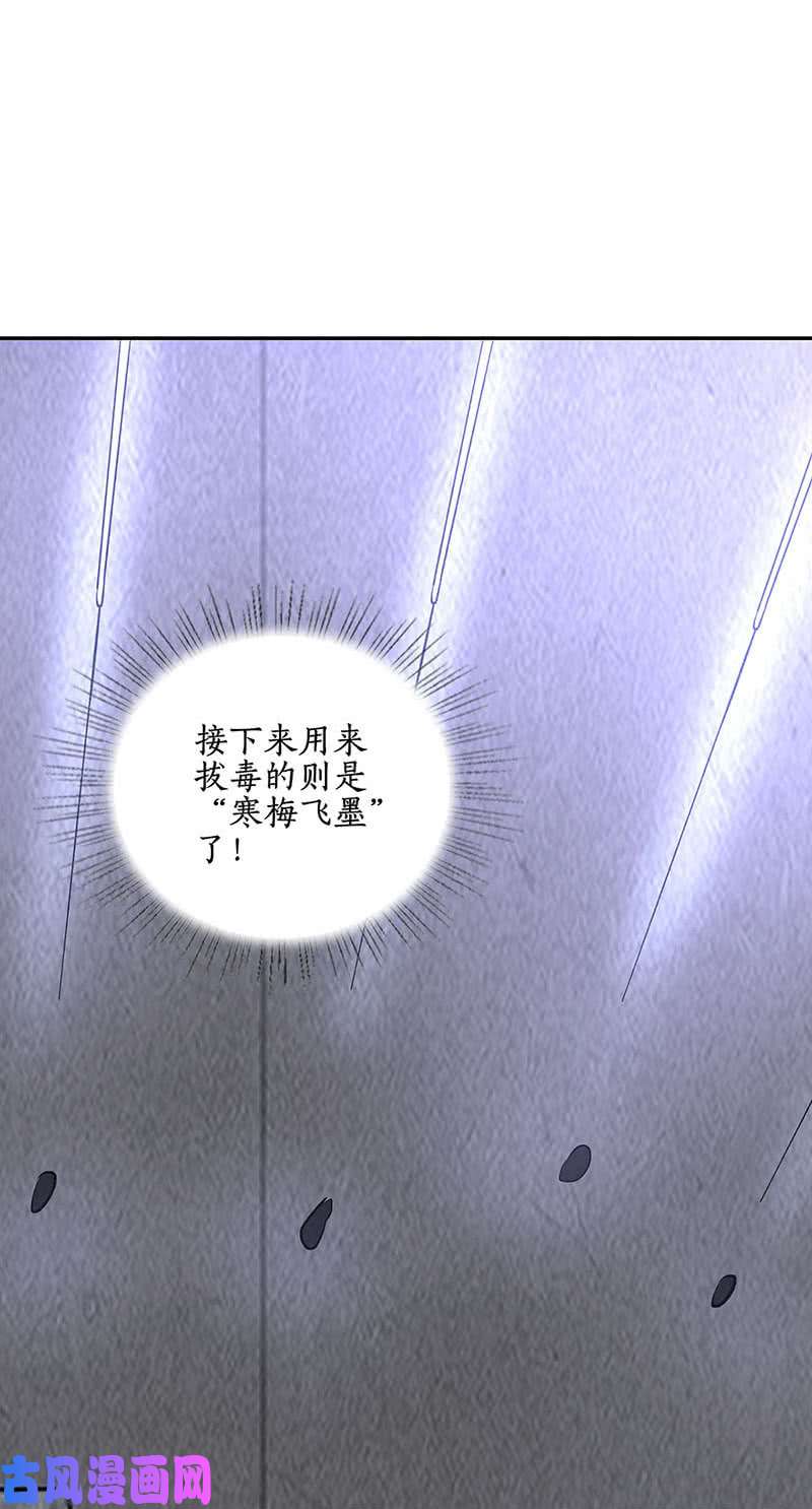 我本废柴寒梅飞雪