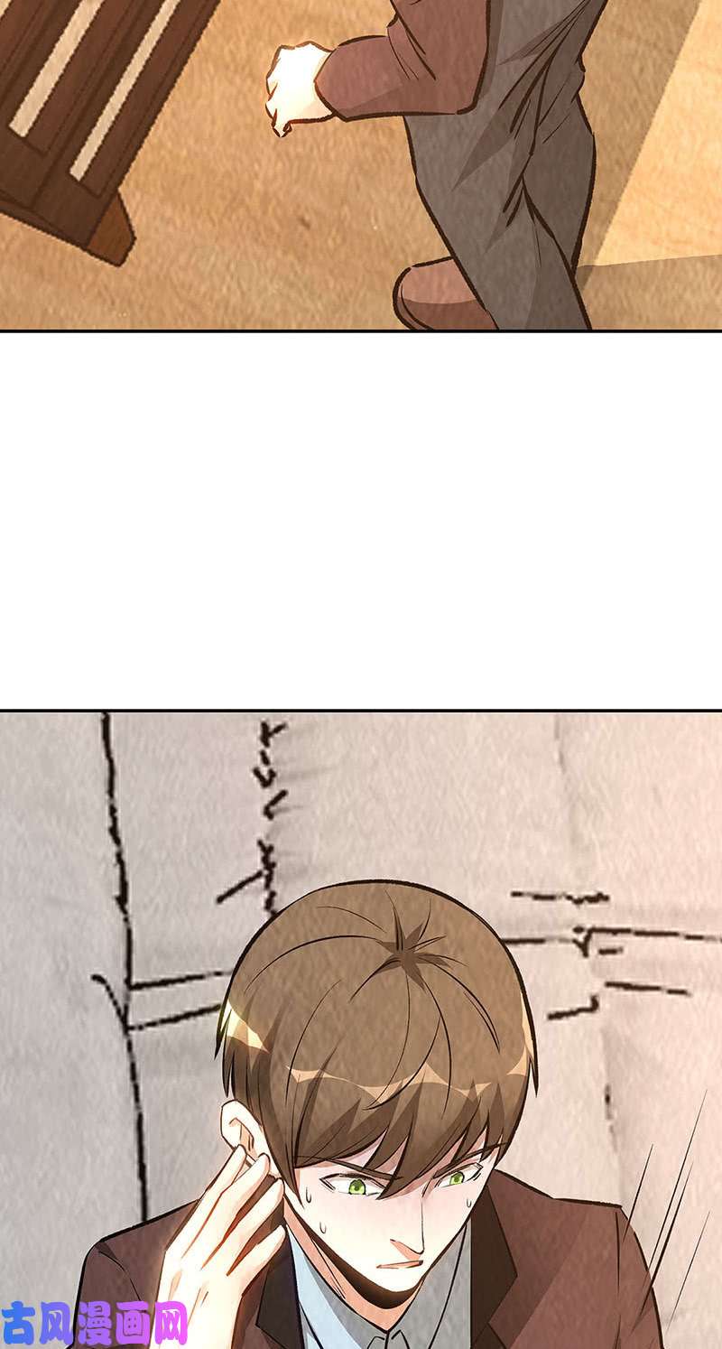 我本废柴寒梅飞雪