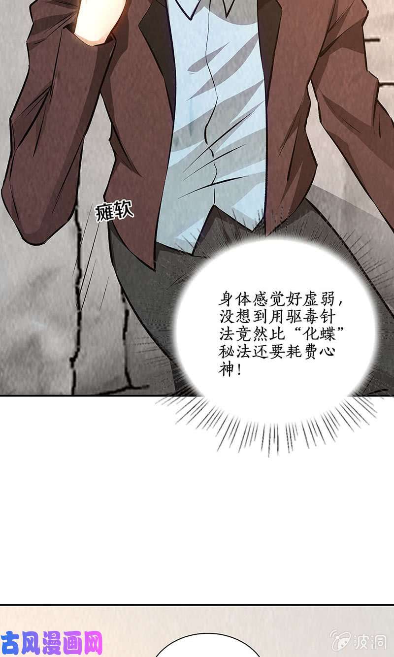 我本废柴寒梅飞雪