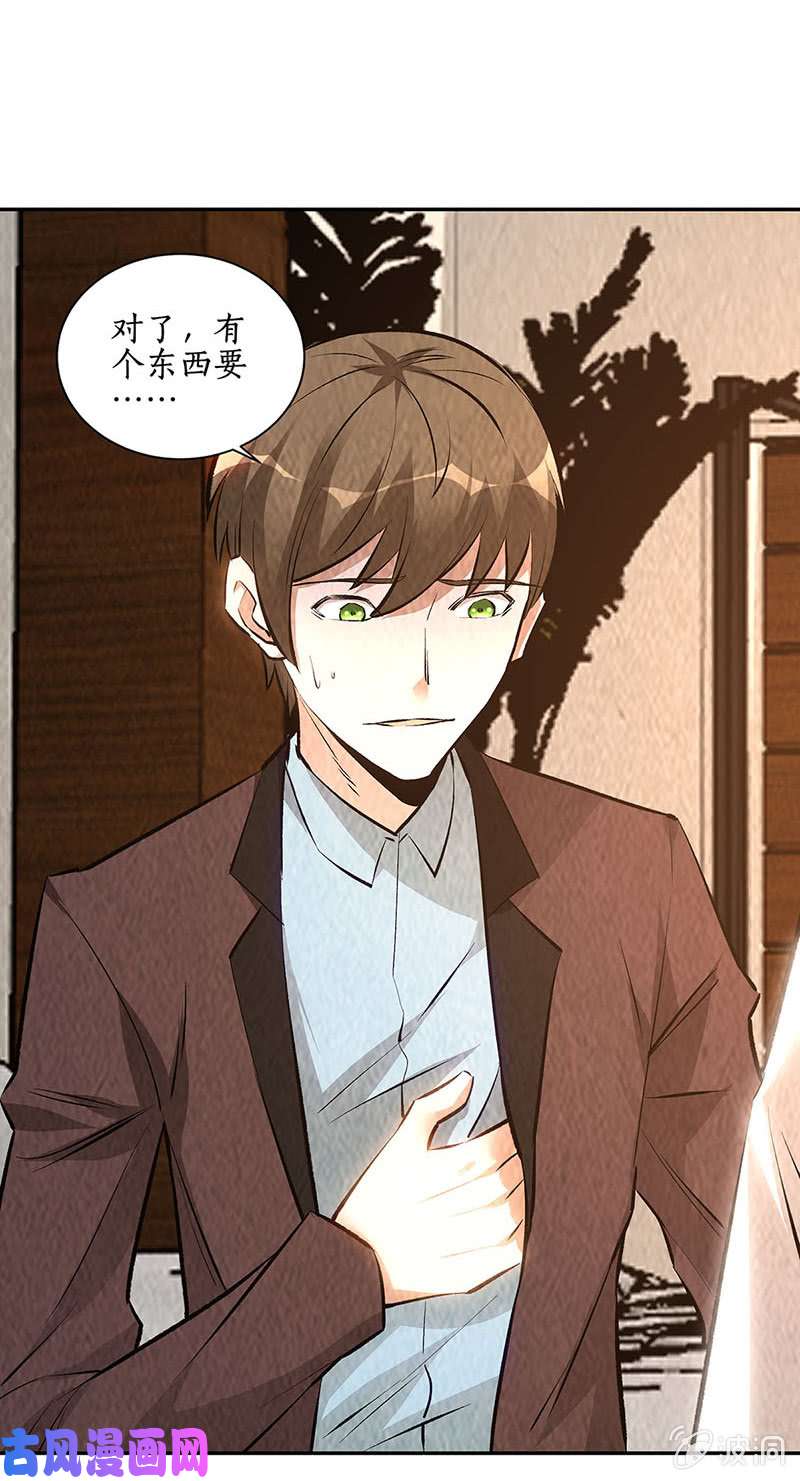 我本废柴寒梅飞雪