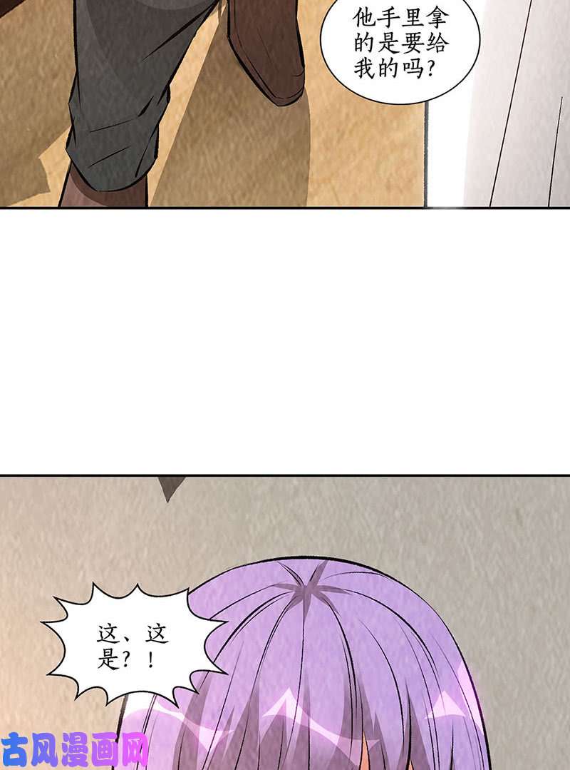 我本废柴寒梅飞雪