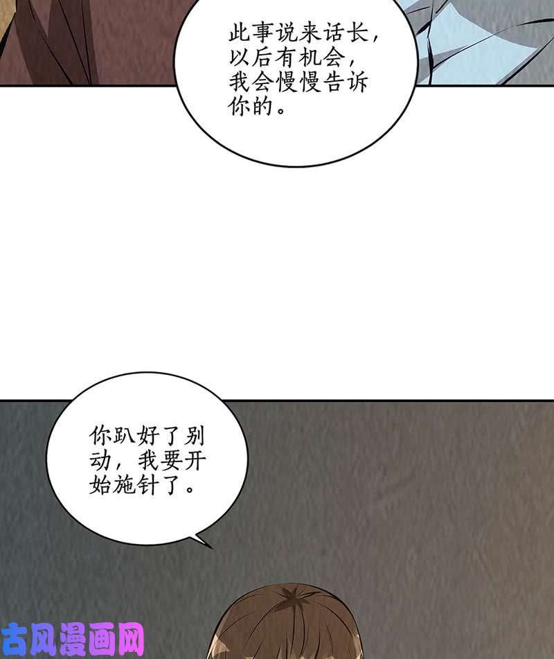 我本废柴寒梅飞雪