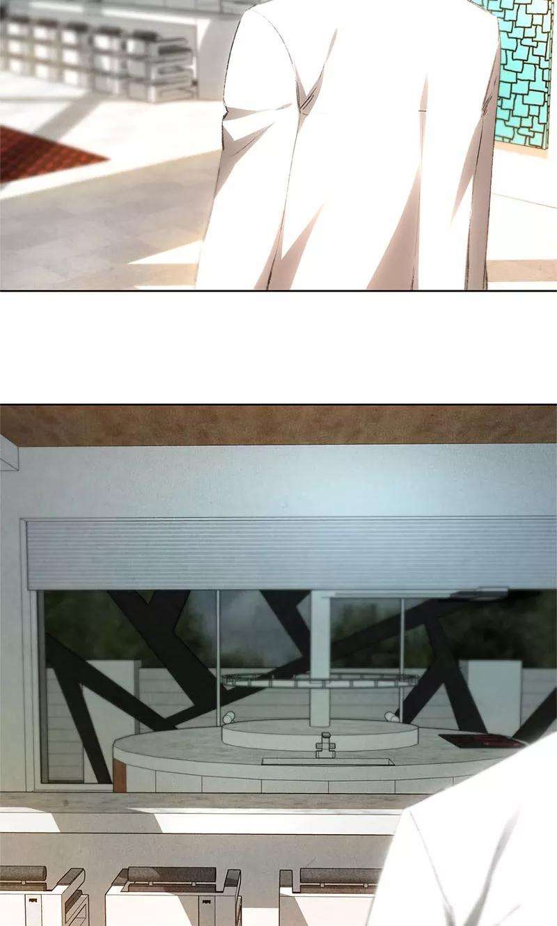 我本废柴19话 木芝草