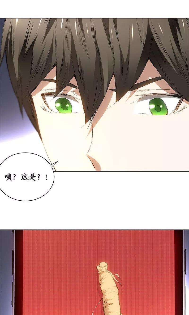 我本废柴19话 木芝草