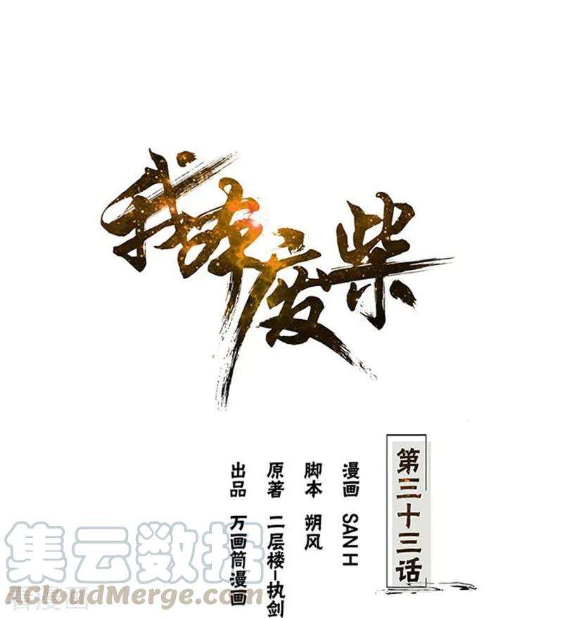 我本废柴33话 合租