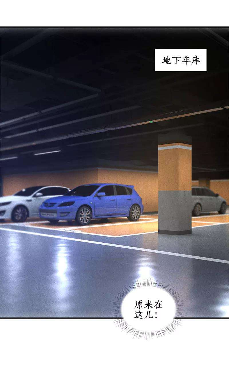 我本废柴61话 影中之人