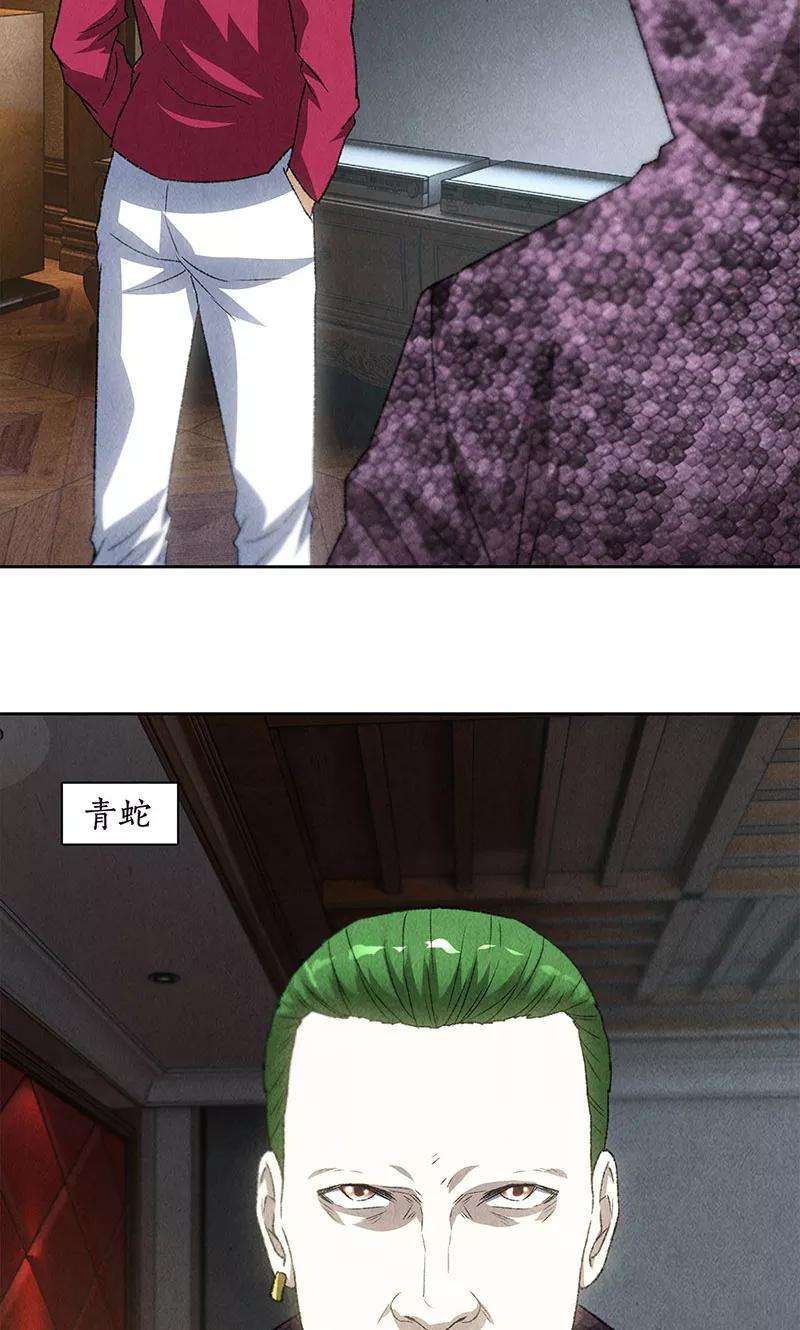 我本废柴61话 影中之人