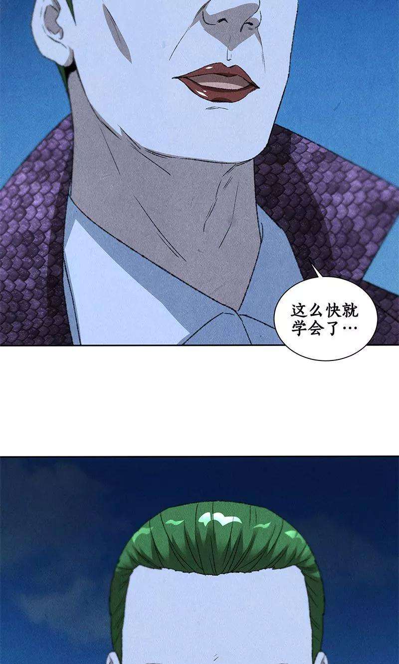 我本废柴62话 雾影术