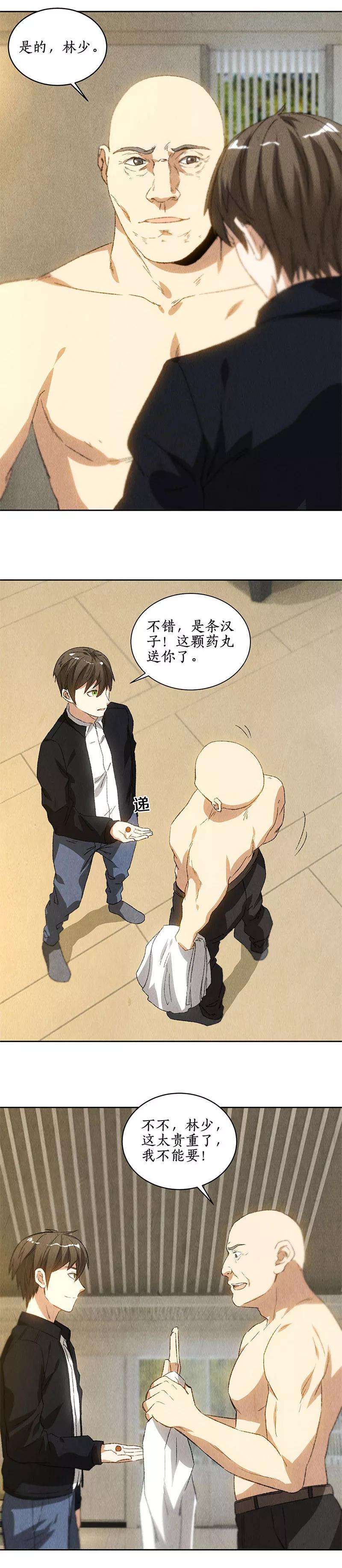 我本废柴78话 药丸