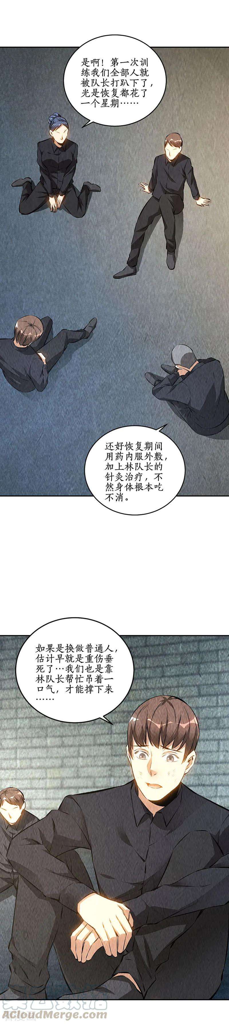 我本废柴178话 妙手话春