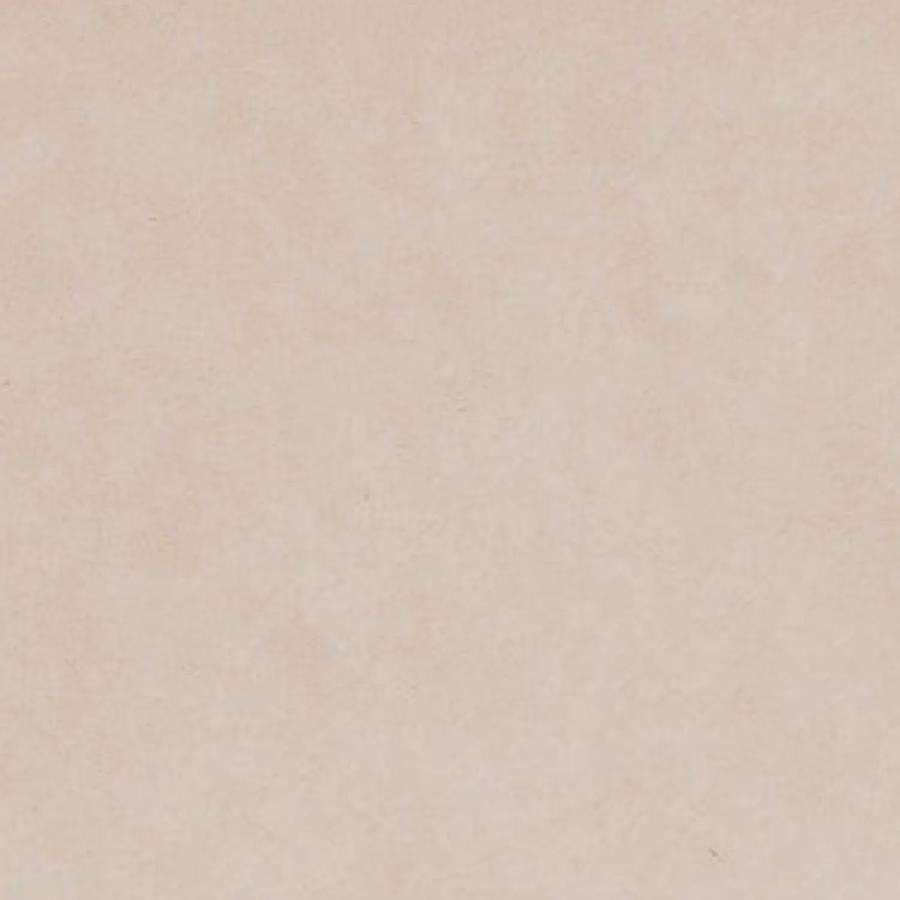 我原来是个病娇10话 盟友