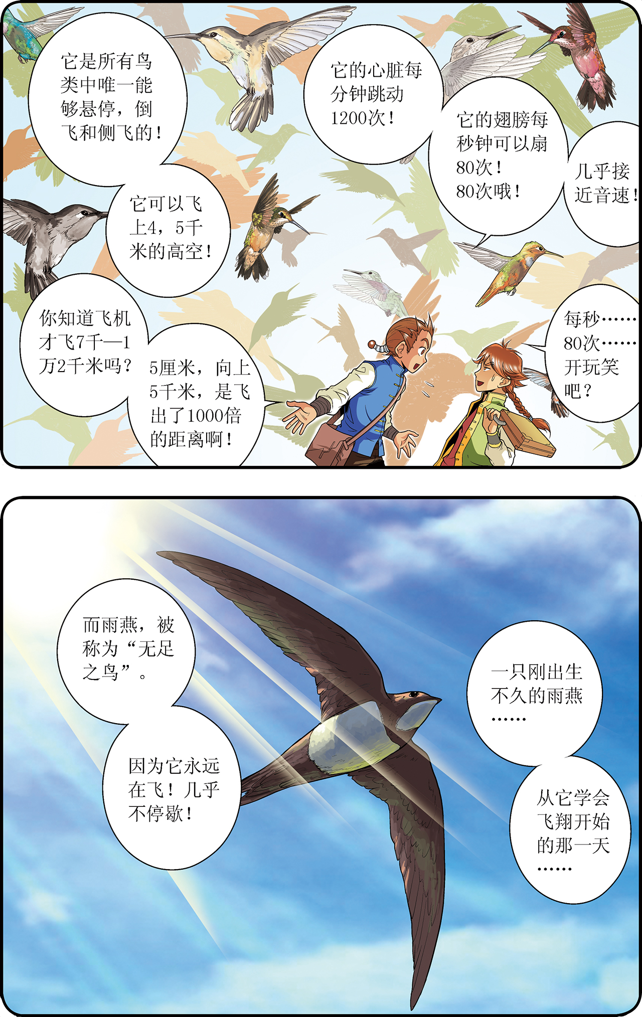 星海镖师035上 蜂鸟和雨燕