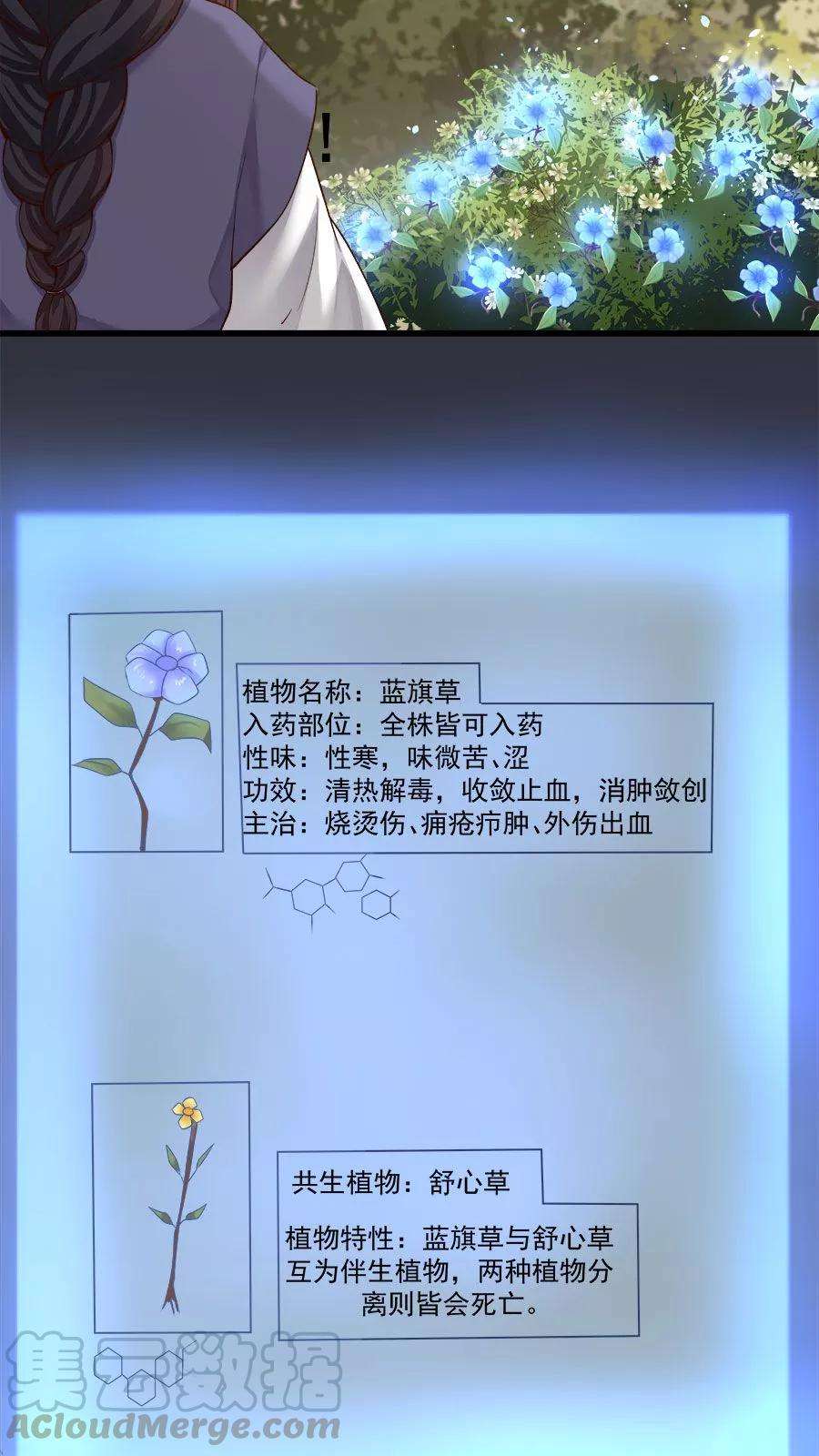 女神养成计划15话 山中有奇药！