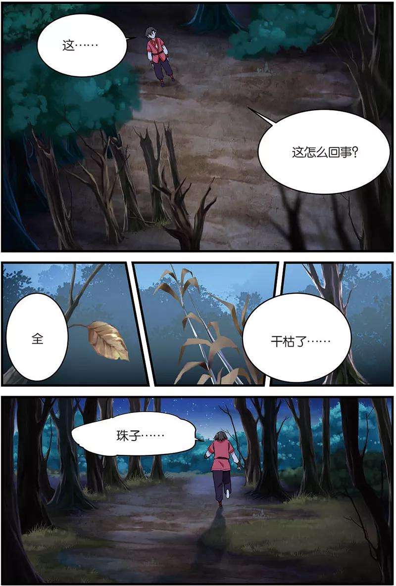 仙逆10话 珠子