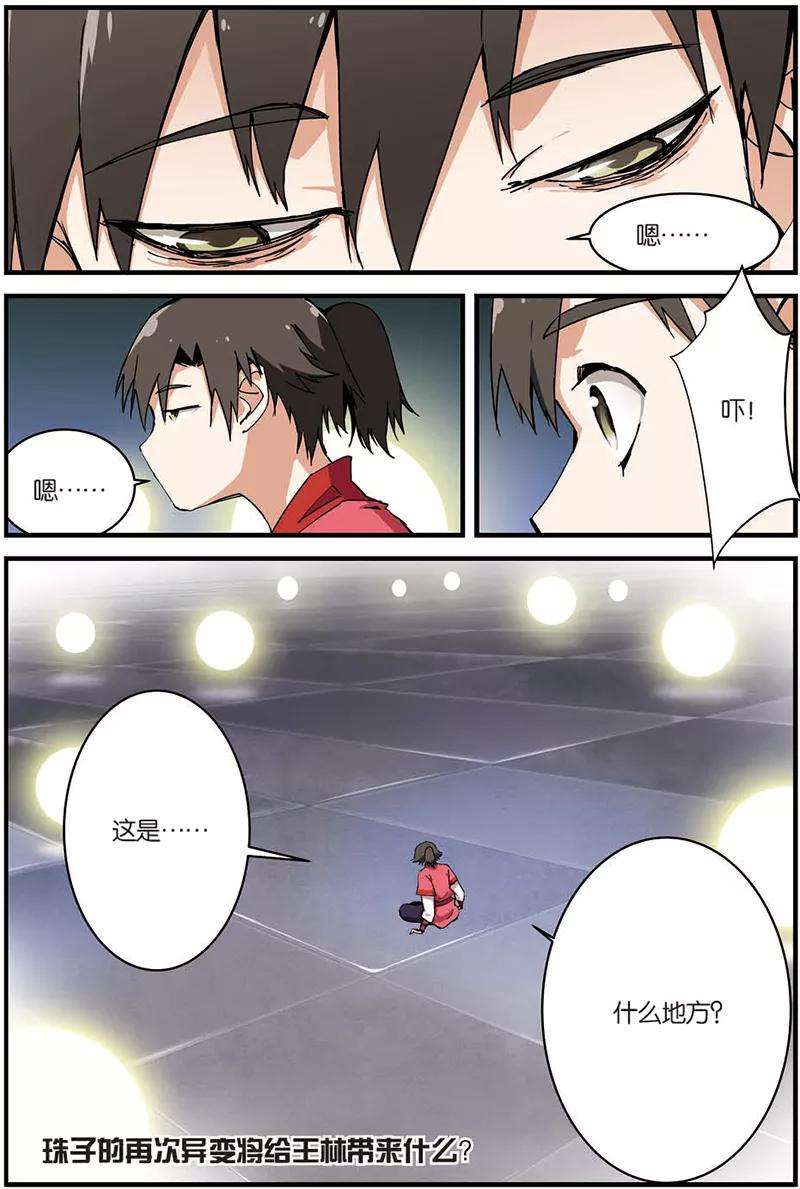仙逆10话 珠子