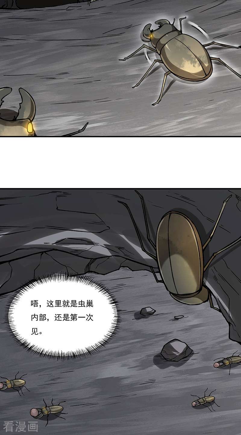 武道独尊383话