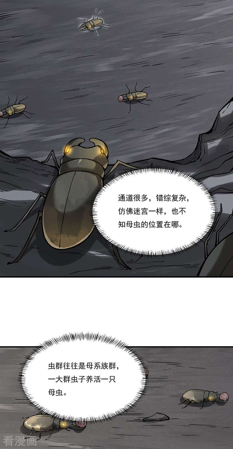 武道独尊383话