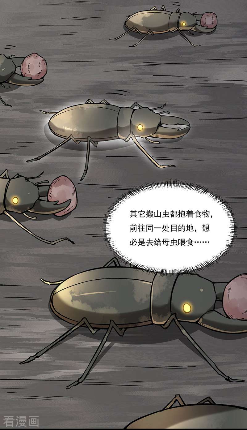 武道独尊383话