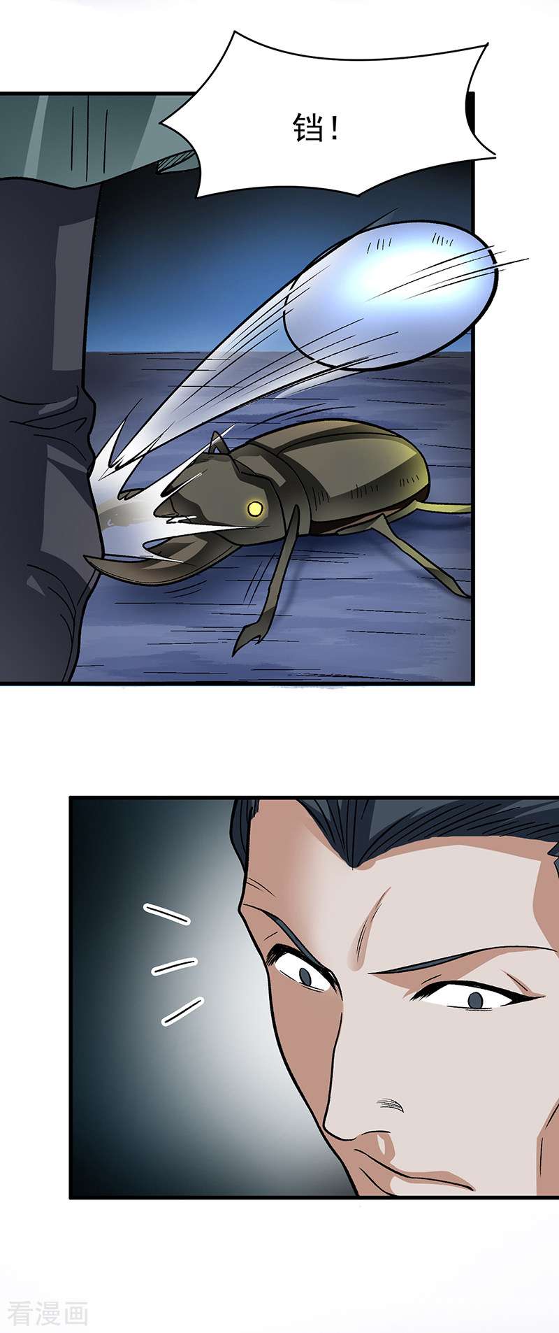 武道独尊384话
