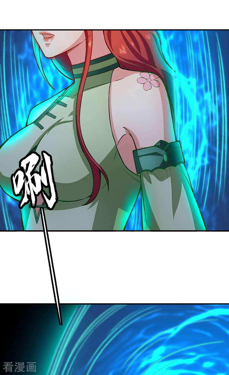 武道独尊431话