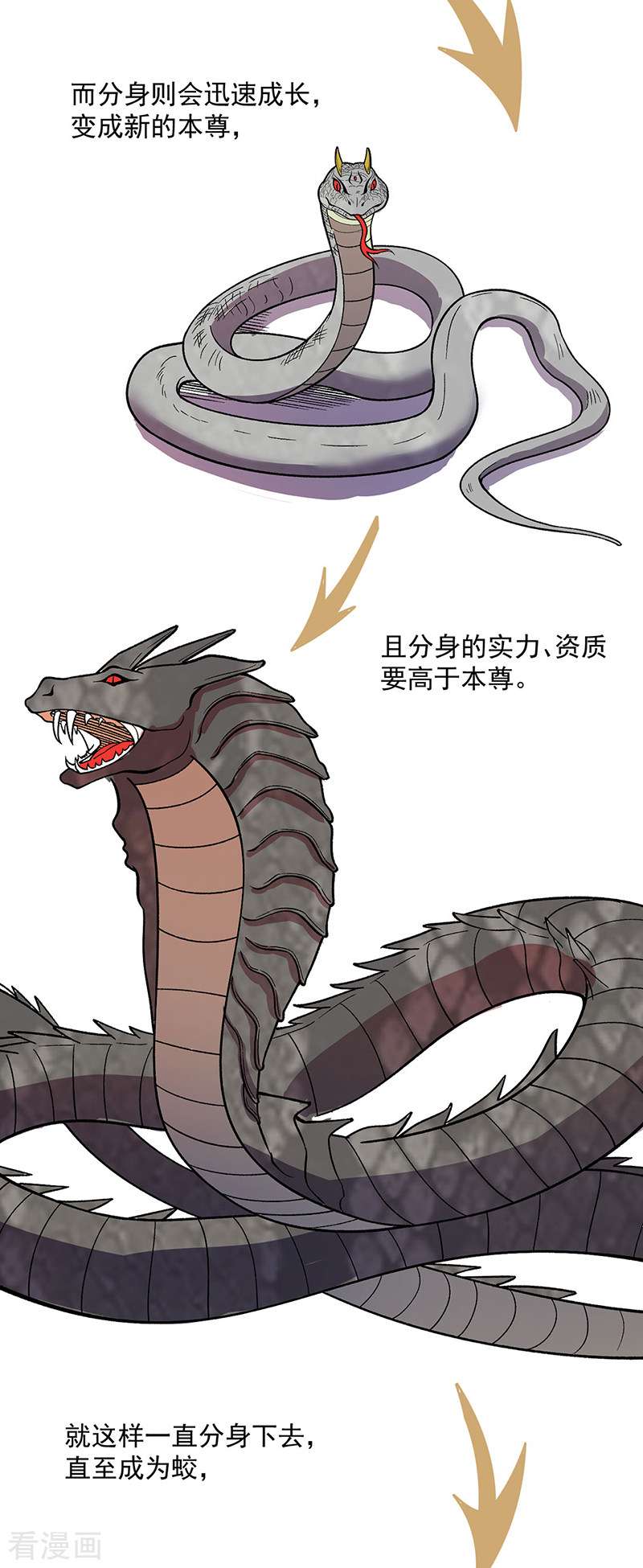 武道独尊444话