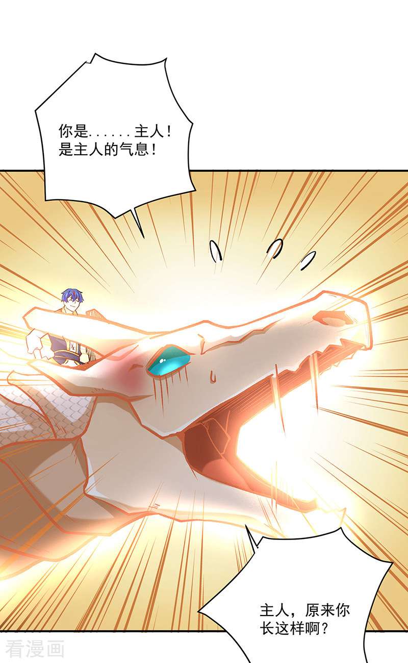 武道独尊491话