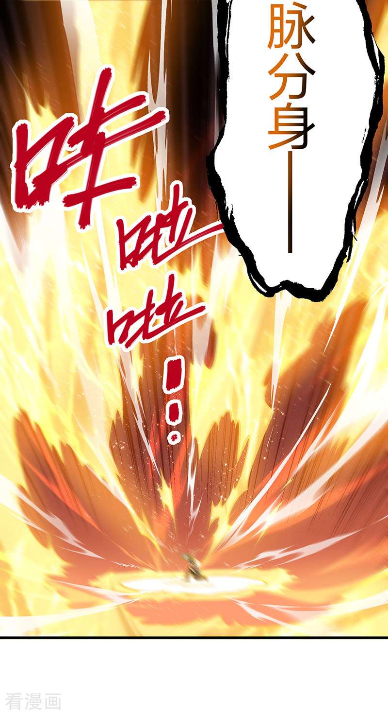 武道独尊495话
