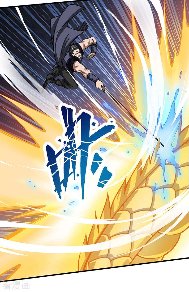 武道独尊495话