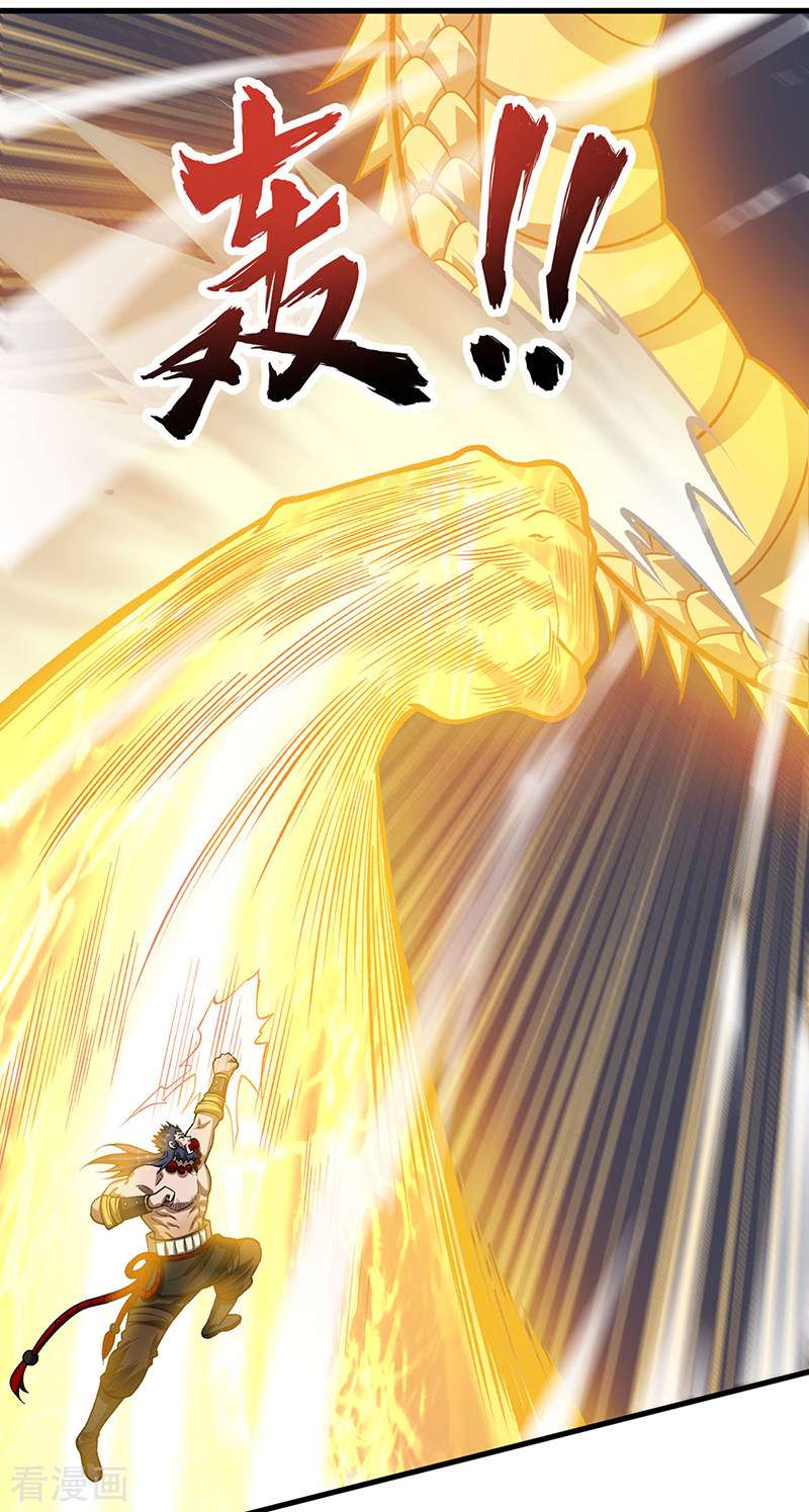 武道独尊495话